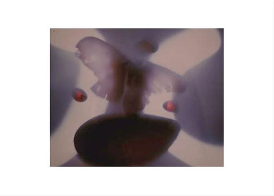 Hatching