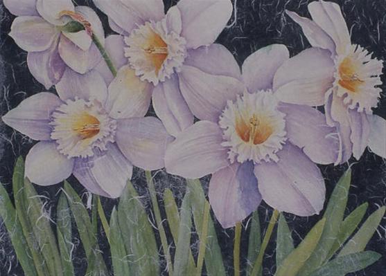Daffodils