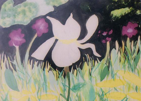 White Iris