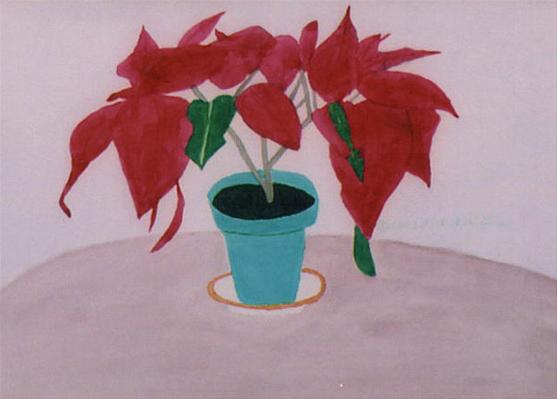 Poinsettia