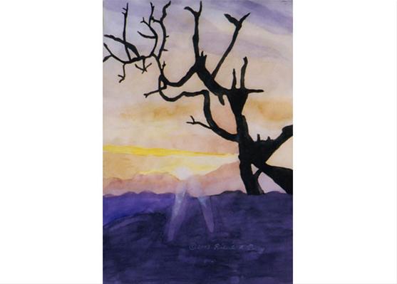 Joshua Tree National Monument