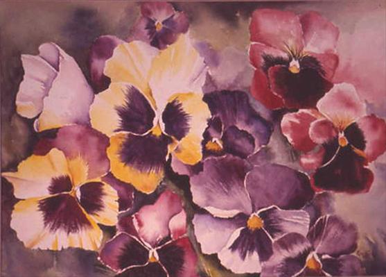 Winter Pansies