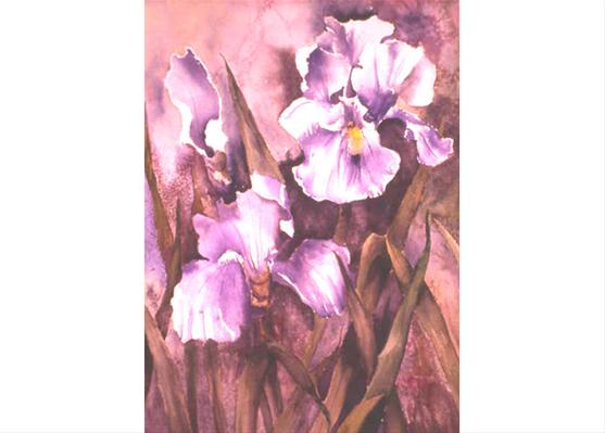 Purple Regal