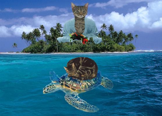 Cat Dream