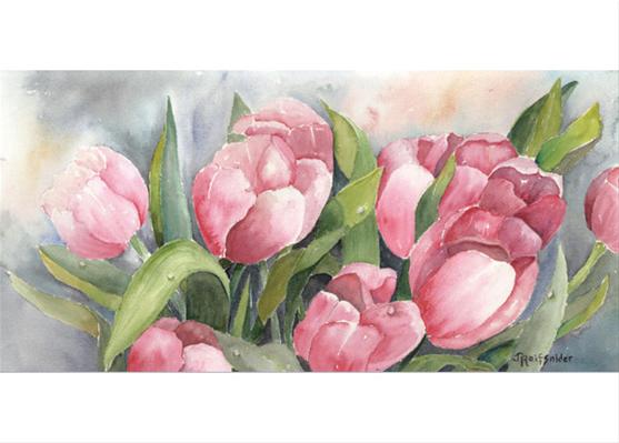 Pink Tulips