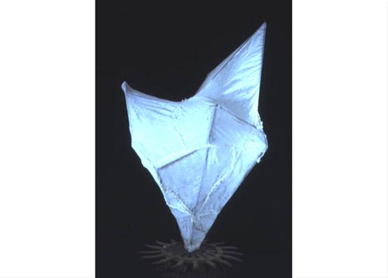 POD II