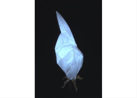 POD III