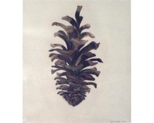 Pinecone