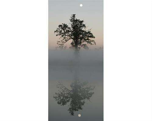 Foggy Reflection with Full Moon