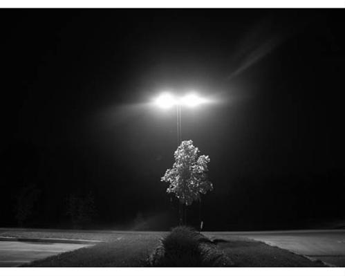 Night Again 1