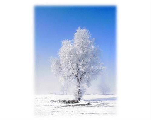 A Breathtaking February Morning