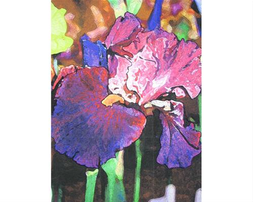 Iris Jubilee