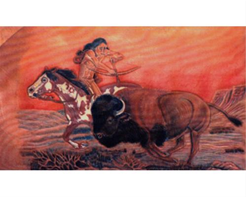 Indian Pony