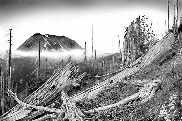 Mt. Saint Helens, Washington