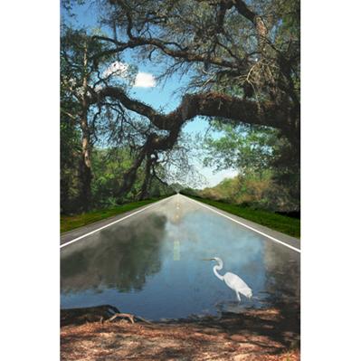 Road to the Lake