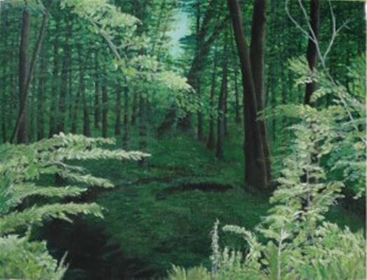 Looking in Sacred Grove
