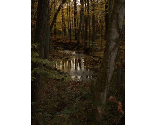 Radnor Lake, TN, Spillway Trail, 2010