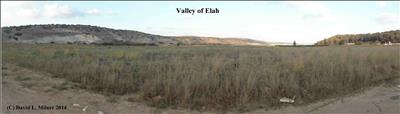 Valley of Elah: Battle of David and Goliath
