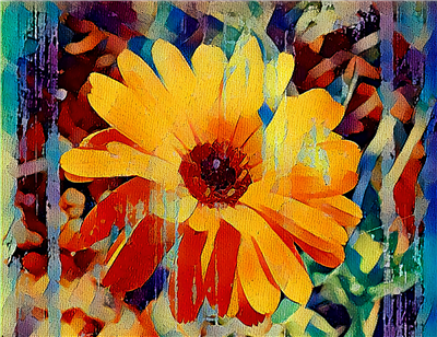 African Healing Daisy 2