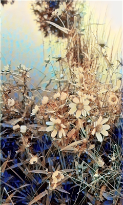 Pond Wildflowers