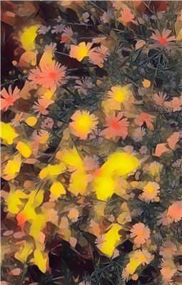 Among the Wildflowers